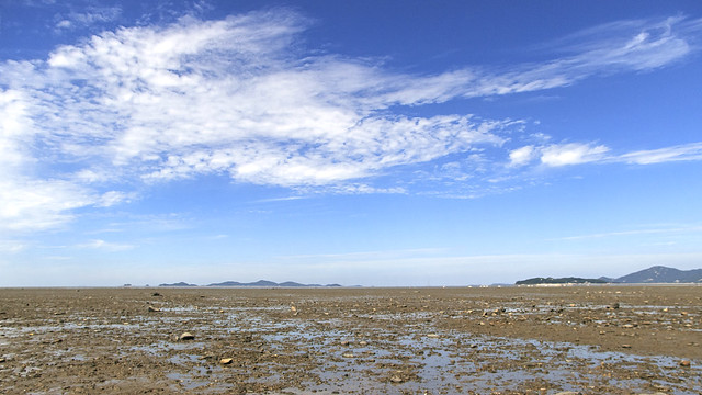 Mudflat Landscape