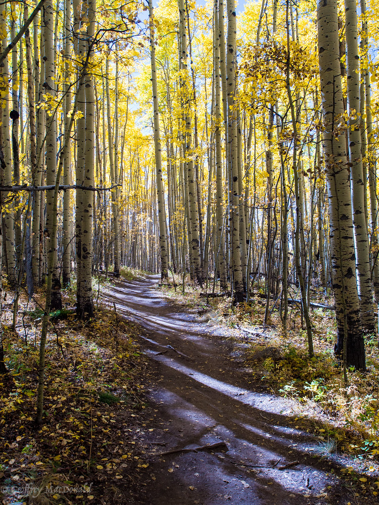 Autumn Colors | Exploring Colorado autumn colors at the end … | Flickr