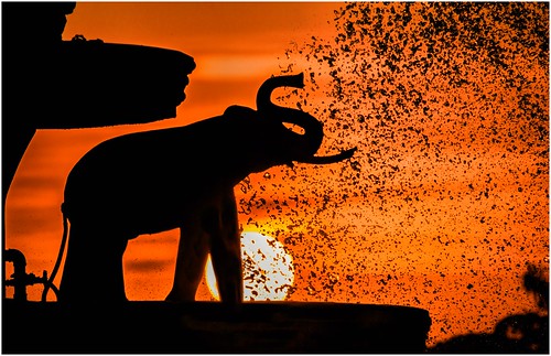 myanmar burma elephantfountain peoplespark yangon sunset water fountain elephant sun hue trainsintasmania stevebromley canoneos550d ef35350mm13556lusm city park
