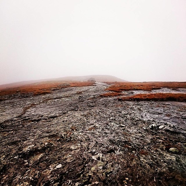 The misty mountains call...#skallen#frol#hårskallen#skallstuggu#mist#foggy#tåke#fog#noview#fjell#mountaintrail#mountain#healthy#helse#walking#sporty#workout#levanger#Norge#vulusjøen#2015#norway#fjellsti#rock#rocks#cantsee