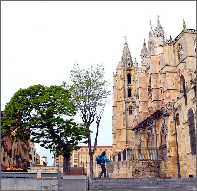 Contemplando la Catedral - León