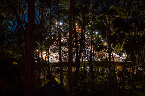 lights festival sunshinecoast event australia tent outdoors trees night woodfordia queensland woodfordfolkfestival