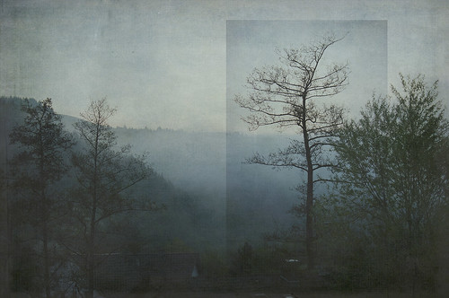 trees mist fog germany bomen view hills uitzicht duitsland ahrvalley heuvels hotelewerts