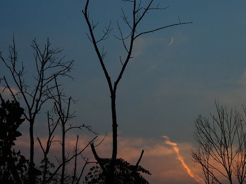 trees sunset summer moon nature silhouette nikon pittsburgh pennsylvania vivid crescent pa nikonphotography nikonp520