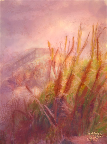 Image of Flagler Beach and the natural Sea Oats