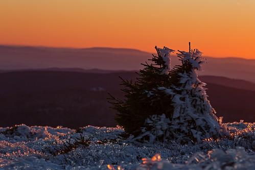 harz nacht nationalpark nationalparkharz sonnenuntergang winter harzmountain sunset