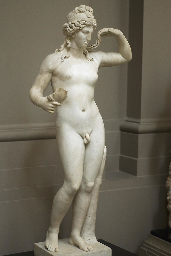 Hermaphrodite Gallery