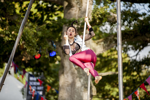 MindField at Electric Picnic 2015