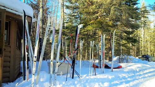 Lakeland PP - XC Skis