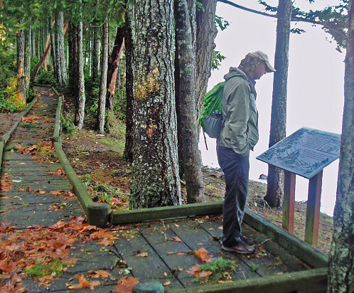 olympicnationalforest forestservice scenic viewpoint view sealrock boardwalk walkway signage fallcolor recreation hiking fallcolors autumn
