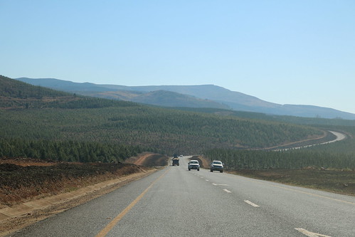 southafrica südafrika suidafrika mpumalanga road wald forest