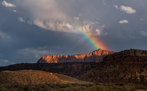 Zion National Park by Roaming the World, usa utah zion