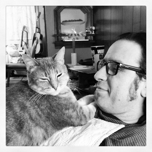 I think she's claimed him as her own. #catsofinstagram #fatcat #tortioseshellcat #tortiecats #thanksgiving2015🍂🍁🍗 | by chauntelensey