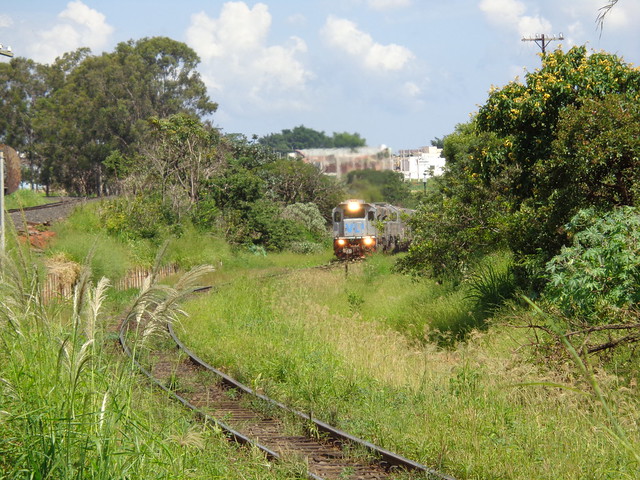 27092 GT46AC #8179 + 8224 com trem locotrol J494 chegando no Km645 em Uberlândia MG     (1)