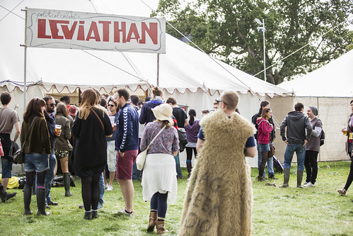 MindField at Electric Picnic 2015