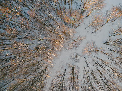 winter2016 snow white autumn 2016 europe djieurope baltic panevėžys lithuania lietuva drone aerial dronas aerialphotography dji djiphantom3 phantom phantom3 phantom3advanced advanced birdseye landscape djiglobal