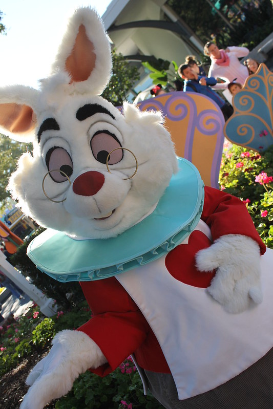 Magic Kingdom Rabbit Magic Kingdom | Flickr