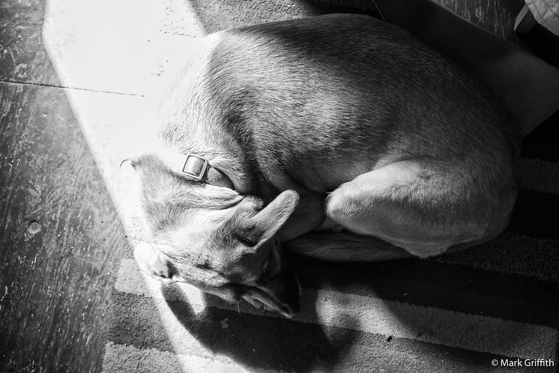 Sleep in the Sun