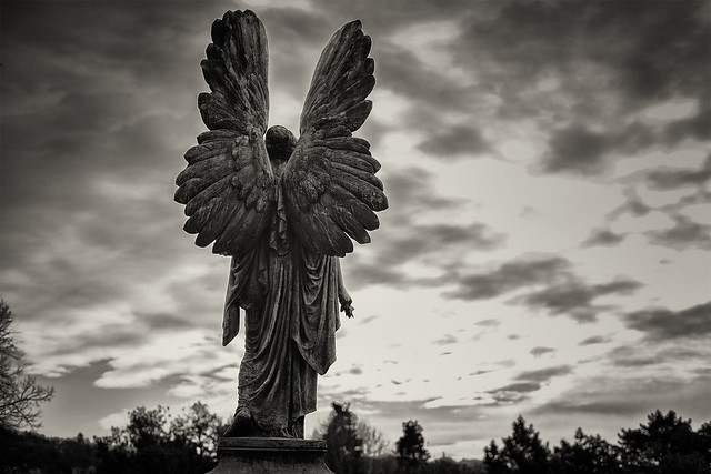 angel wings