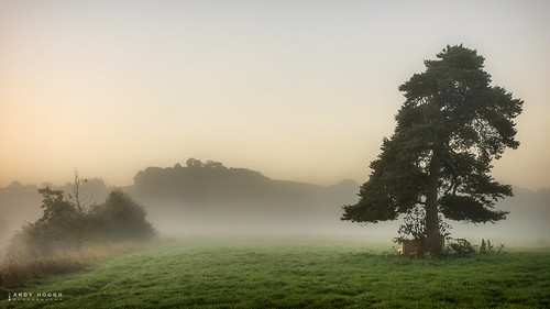 morning trees england mist tree misty landscape landscapes haze unitedkingdom sony gb oxfordshire churchmeadow southoxfordshire littlewittenham a99 sonyalpha andyhough slta99v andyhoughphotography sonyzeiss2470f28zassm