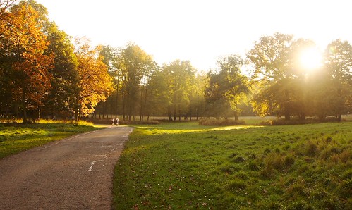 Blenheim Conference by benjaminfhall, Two youngsters stopped off in a patch of Autumn sunlight to discuss their next move.
A few more to