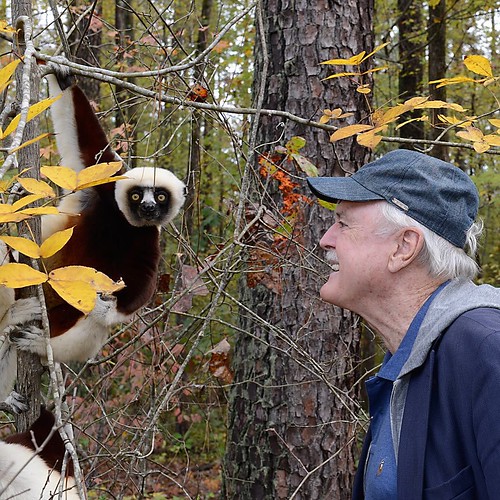 Actor John Cleese, star of "Monty Python and the Holy Grail" and a longtime advocate for lemurs, visited the @dukelemurcenter recently. (???? credit: David Haring, Duke Lemur Center)