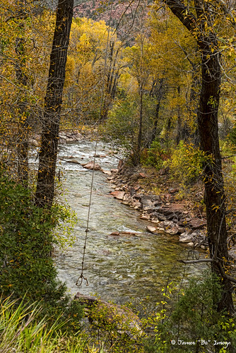 autumn trees fall nature water beautiful creek river fun fishing colorado stream crossing unitedstates rope swing foliage carbondale jamesinsogna