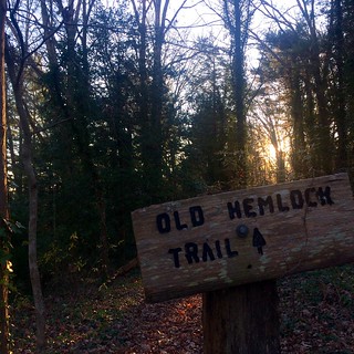 Old Hemlock Trail at sunrise