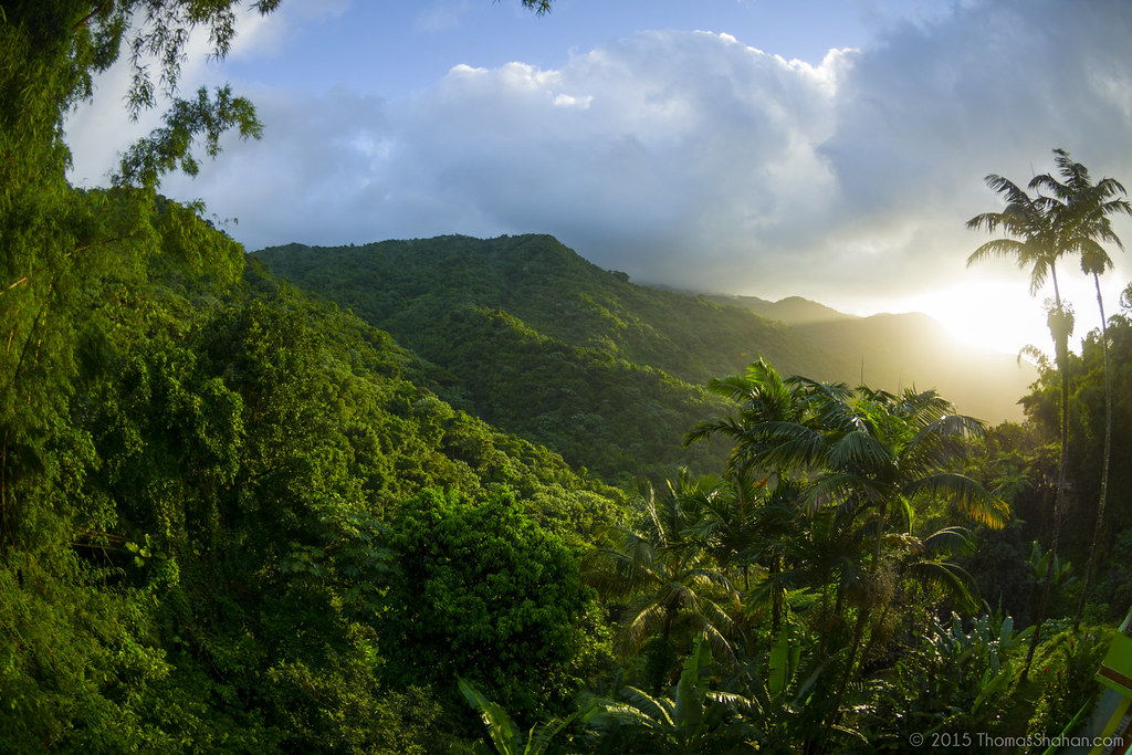 El Yunque National Forest, Puerto Rico | Thomas Shahan | Flickr