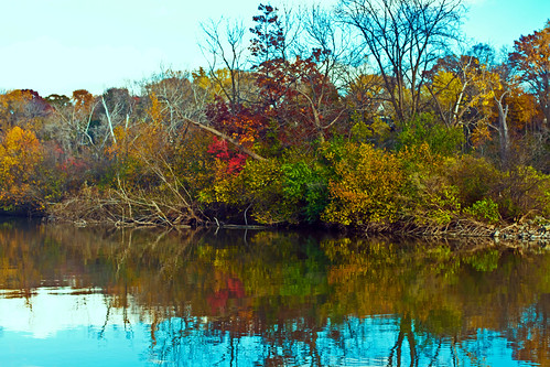 River reflections | by Tinpixels