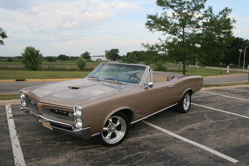 GTO | by amber.photography1