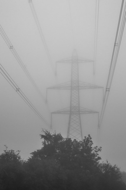 Striding through the mist