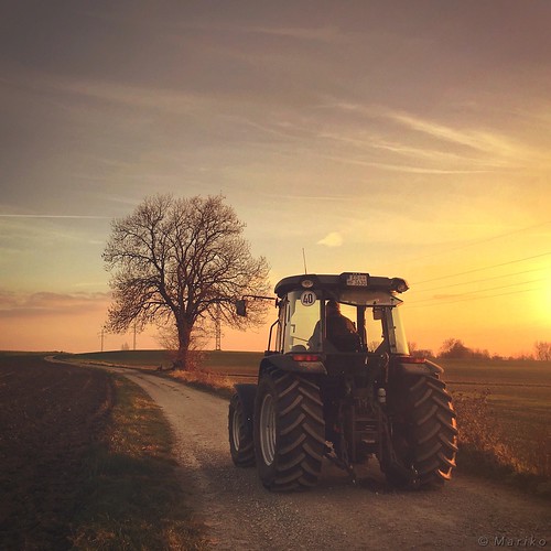 iphone iphone6s iphoneography iphonephotography mobile mobilephotography mariko square sunset rural country traktor tractor tree road erding aufkirchen bavaria bayern germany hipstamatic phototoaster picfx lenslight