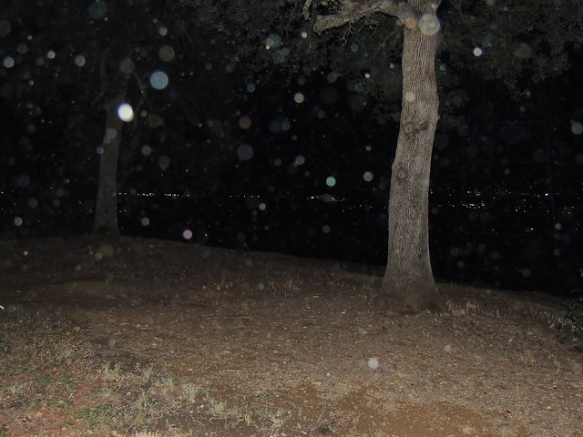 Mysterious Orbs on Digital photography 2nd Photo