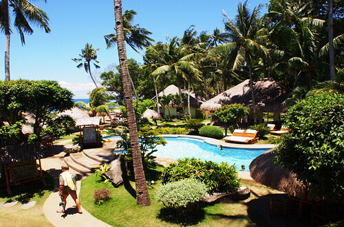 Pura Vida Beach and Dive Resort