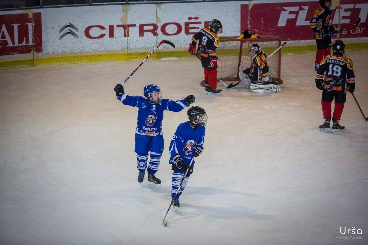 13. odprto prvenstvo Zagreba v hokeju na ledu U8 in U10 (2.dan)