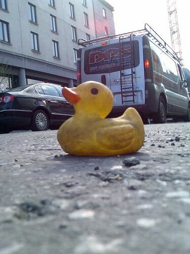 Rubber Ducky on Pearse St.