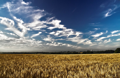 morning blue summer sky field clouds geotagged corn farm gradient fields farmer bergischesland mettmann polarize geolat51231666 geolon6956577