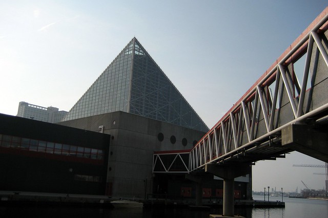 Baltimore - Inner Harbor: National Aquarium