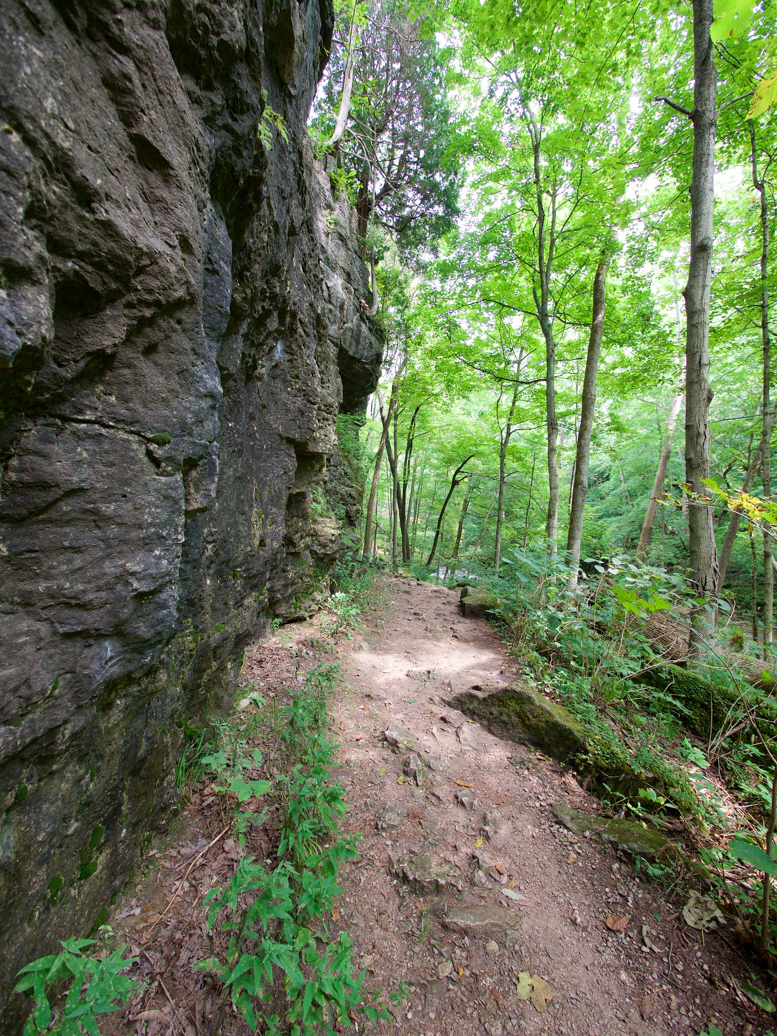 Clifton Gorge State Nature Preserve