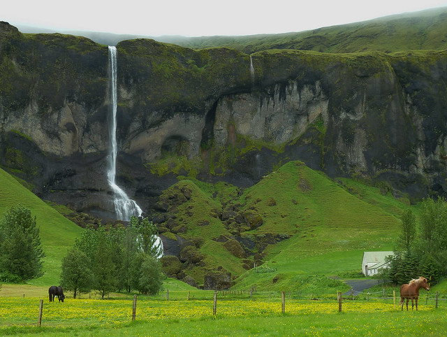 Icelandic  idyll
