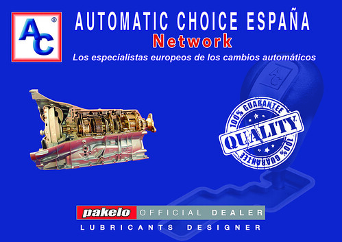 Automatic Choice | by Automatic Choice