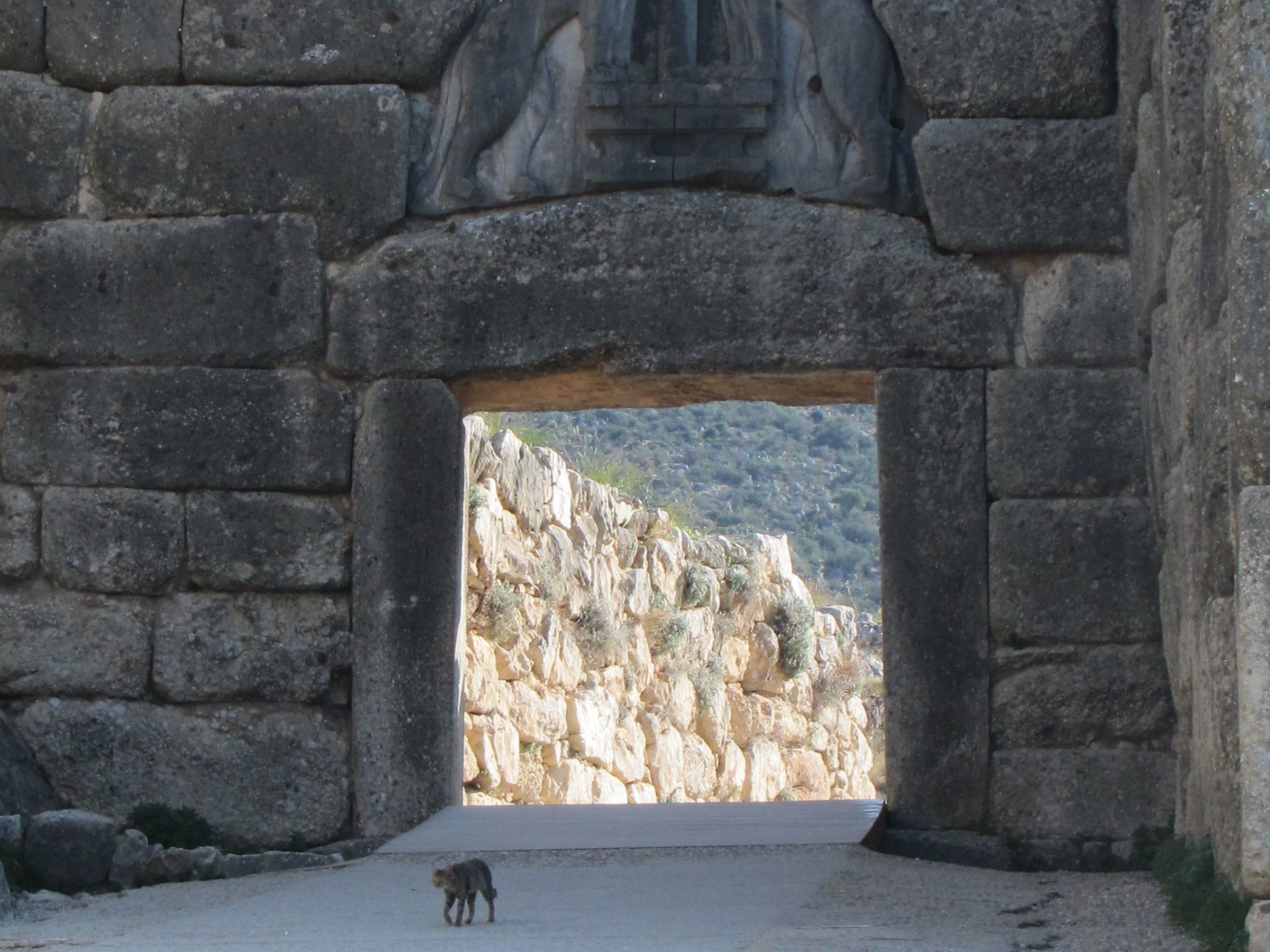 Lion gate with kitty