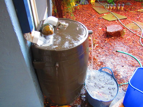 Backyard Water Barrel | by rudyg39