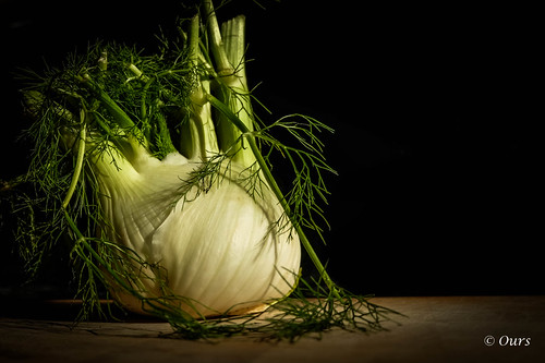 “Vegetables (and fruits) are a must on a diet. I suggest carrot cake, zucchini bread, and pumpkin pie.”  ― Jim Davis | by Dana 48