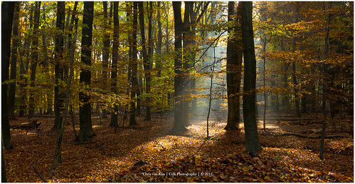autumn canon color enschede europe fall landscape nature netherlands overijssel twente cvk chrisvankan cvkphotography photography best flickr ngc outdoor theroom