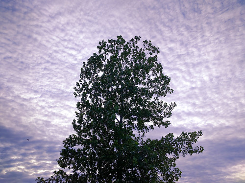 Dull sky!