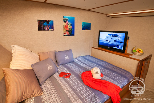 Cayman Aggressor IV