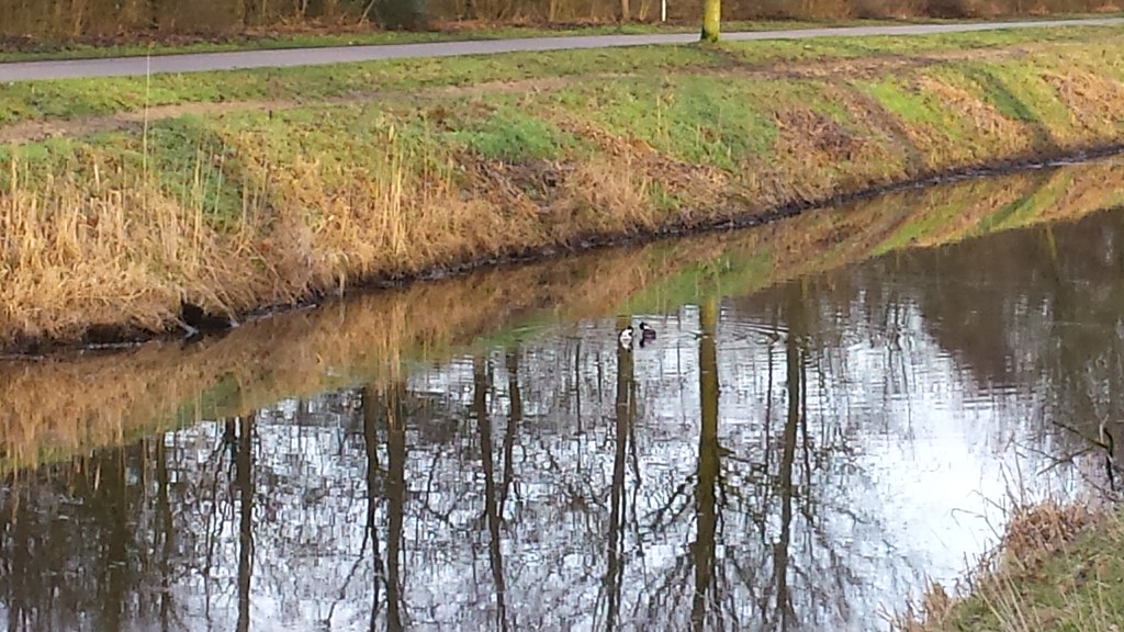 Haarlemmermeerse Bos