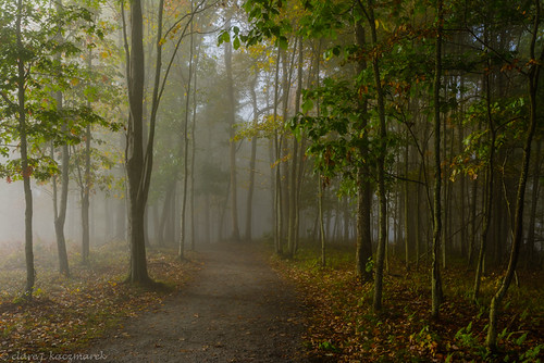 Elk County, PA | by clare j kaczmarek